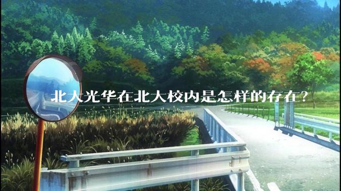 北大光华在北大校内是怎样的存在？