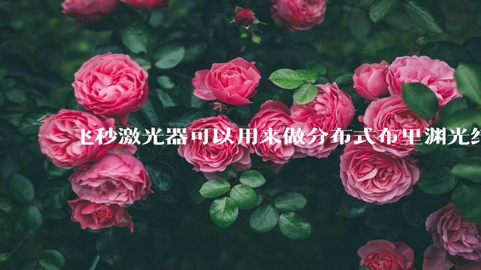 飞秒激光器可以用来做分布式布里渊光纤传感吗？