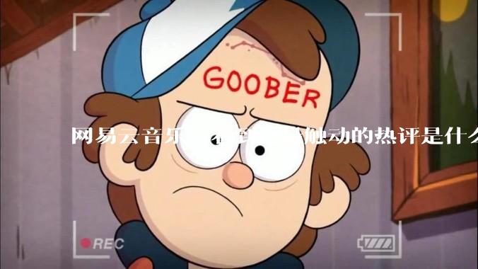 网易云音乐上看到过最触动的热评是什么？