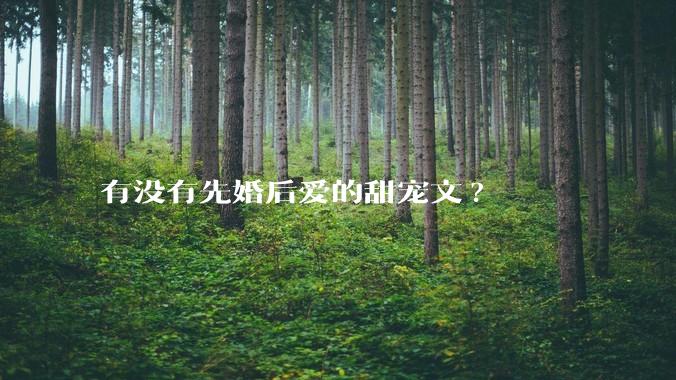有没有先婚后爱的甜宠文?