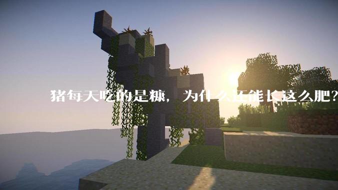 猪每天吃的是糠，为什么还能长这么肥？