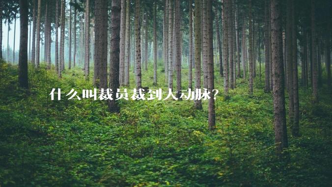 什么叫裁员裁到大动脉？